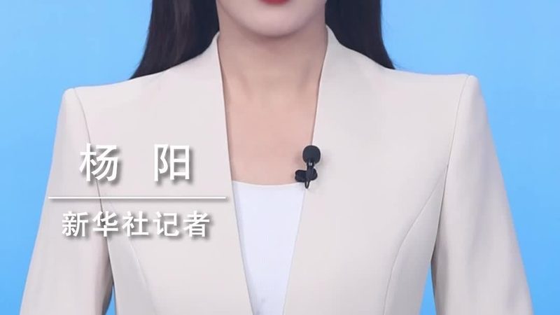 数据仓库分层设计：构建高效数据管理体系的步骤解析**